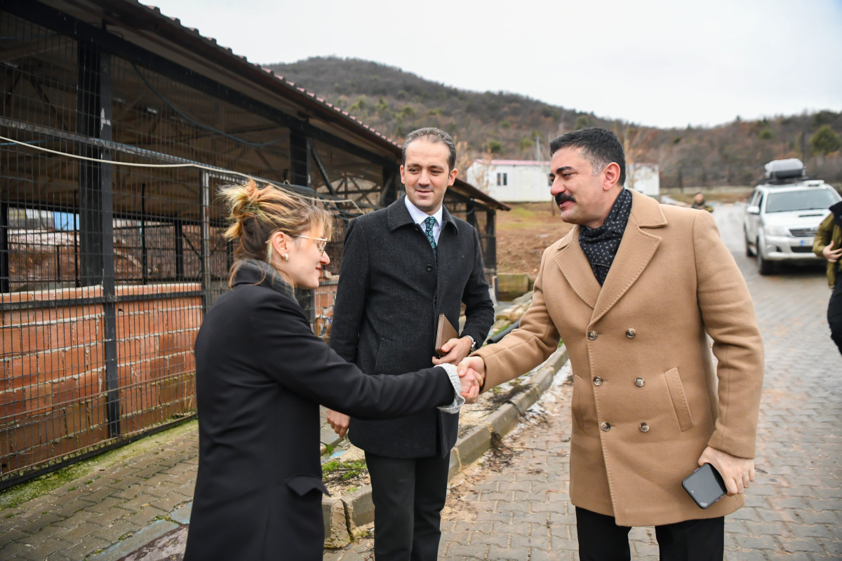 Tunceli’de Sokak Hayvanları İçin Barınak Kapasitesi Artırılıyor