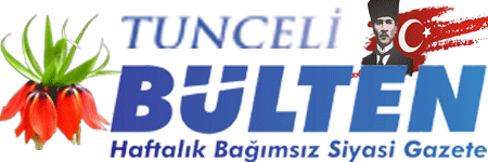 Tunceli Bülten | İnternet Haberciliğinde Yeni Konjonktür